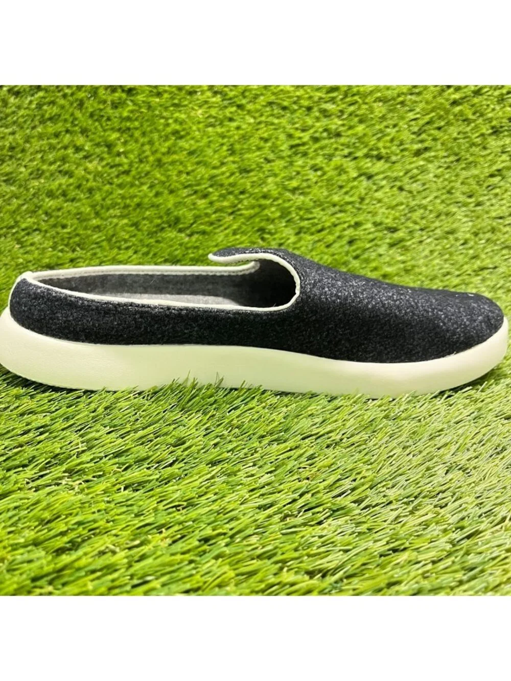 allbirds please review